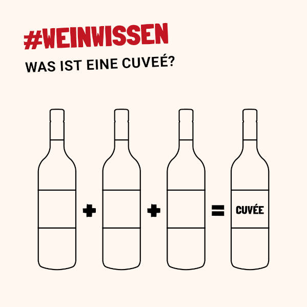 was-ist-eine-cuvee-weinwissen-lauffenerwein