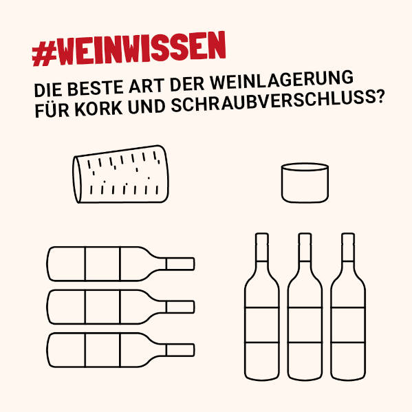 weinwissen-weinlagerung-lauffenerwein